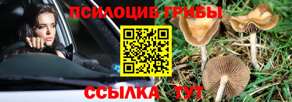 Галлюциногенные грибы прущие грибы  Вход с VPN  Фролово 